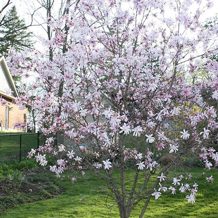 Carrousel Bed & Breakfast Cayuga Екстер'єр фото