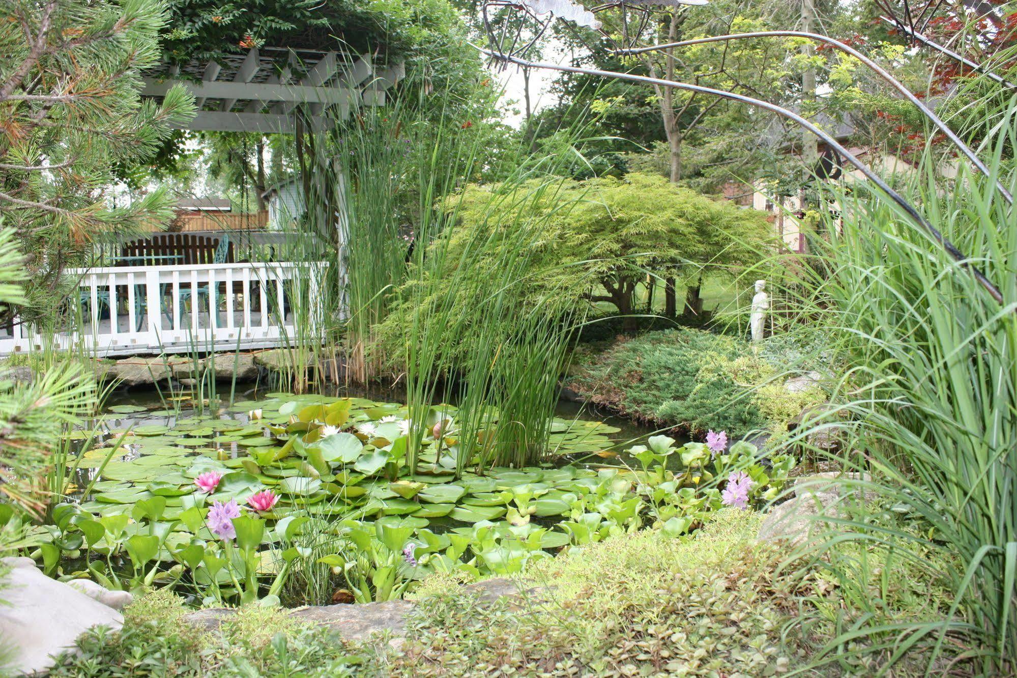 Carrousel Bed & Breakfast Cayuga Екстер'єр фото